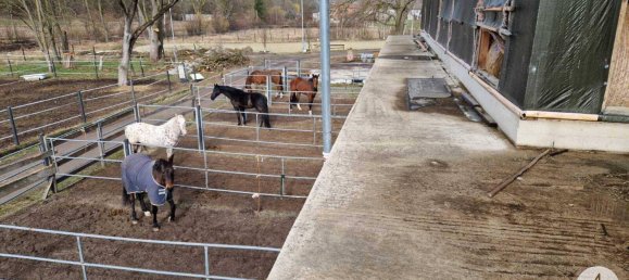  Commercial property in Mank, Austria No. 39382 28