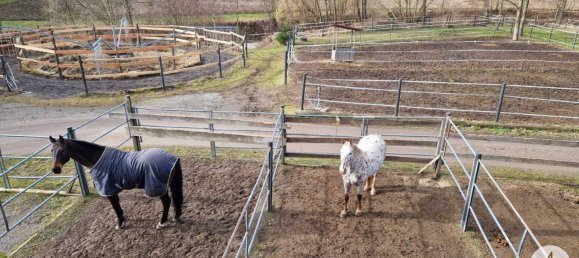  Commercial property in Mank, Austria No. 39382 34