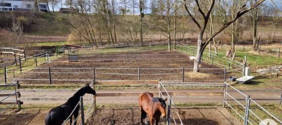  Commercial property in Mank, Austria No. 39382 48