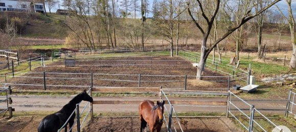  Commercial property in Mank, Austria No. 39382 13