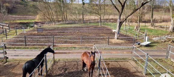  Commercial property in Mank, Austria No. 39382 37