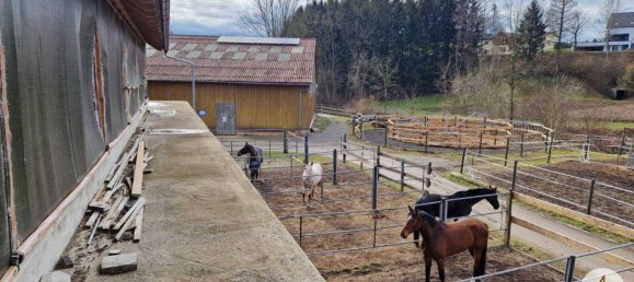  Commercial property in Mank, Austria No. 39382 40