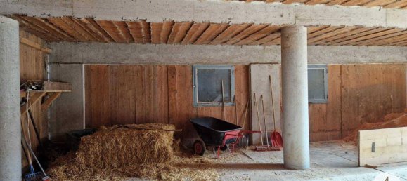  Commercial property in Mank, Austria No. 39382 6