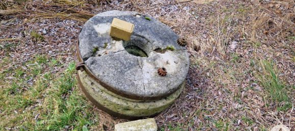  Commercial property in Mank, Austria No. 39382 32