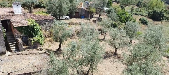 Дом с 4 спальнями в Феррейра ду Зезери, Португалия № 20119 2