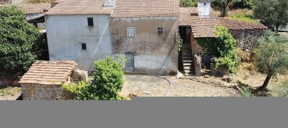 Дом с 4 спальнями в Феррейра ду Зезери, Португалия № 20119 10