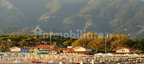 5 rooms Commercial property in Forte dei Marmi, Italy No. 229160 10