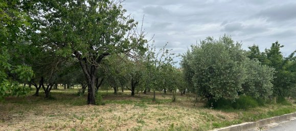 2000m² Land in Torre San Patrizio, Italy No. 297293 3