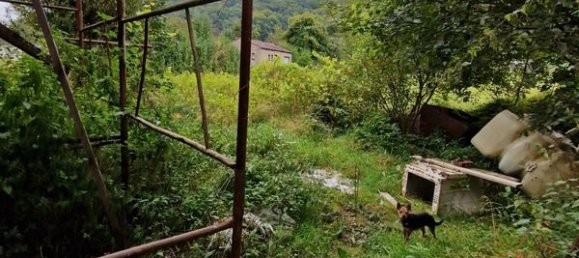 2 bedrooms House in Dalem, France No. 239009 2