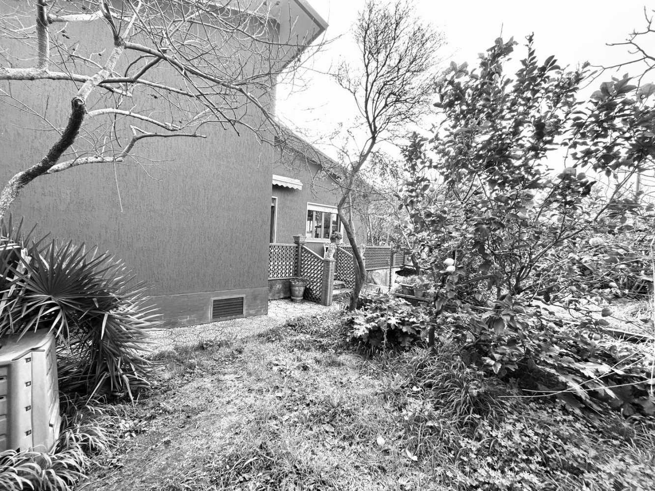 5-salle Maison à Sarzana, Italy No. 39492