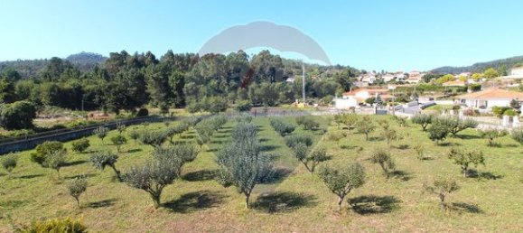 7 bedrooms House in Viana do Castelo, Portugal No. 186696 7