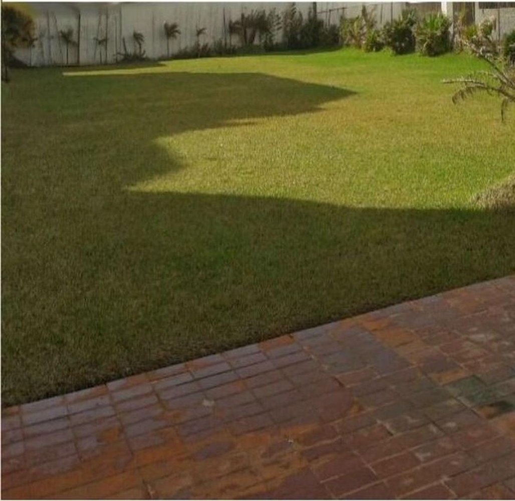 Terrain à Veracruz, Mexico No. 203690