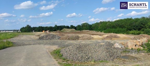 Земельный участок 10000м² в Штрас ин Штайермарк, Австрия № 195653 6