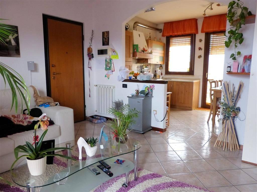 4 rooms Apartment in Viareggio, Italy No. 104001