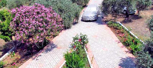 Коммерческая недвижимость 300м² в Тасос, Греция № 7920 3