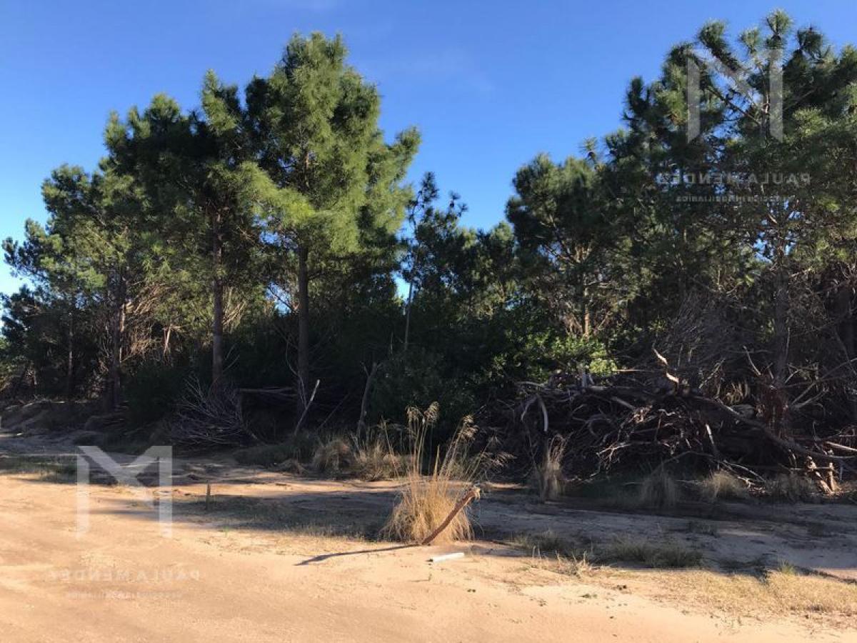  Land in Mar del Plata, Argentina No. 119314