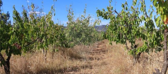 1 bedroom House in Fundao, Portugal No. 74670 23
