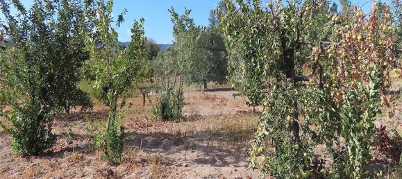 1 bedroom House in Fundao, Portugal No. 74670 11