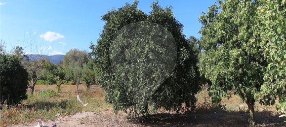 1 bedroom House in Fundao, Portugal No. 74670 14