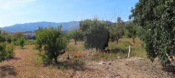 1 bedroom House in Fundao, Portugal No. 74670 12