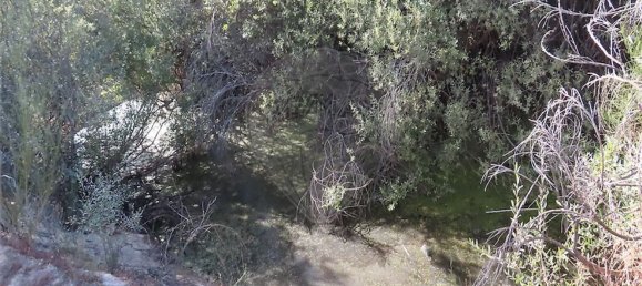 1 bedroom House in Fundao, Portugal No. 74670 7