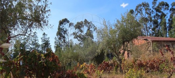 1 bedroom House in Fundao, Portugal No. 74670 22