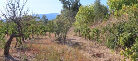 1 bedroom House in Fundao, Portugal No. 74670 6