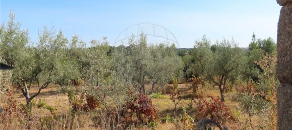 1 bedroom House in Fundao, Portugal No. 74670 19