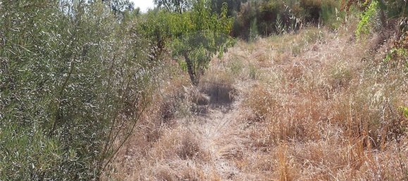 1 bedroom House in Fundao, Portugal No. 74670 24