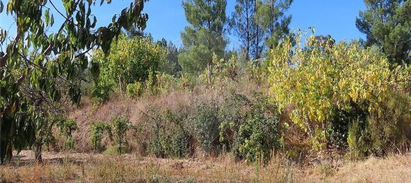 1 bedroom House in Fundao, Portugal No. 74670 10