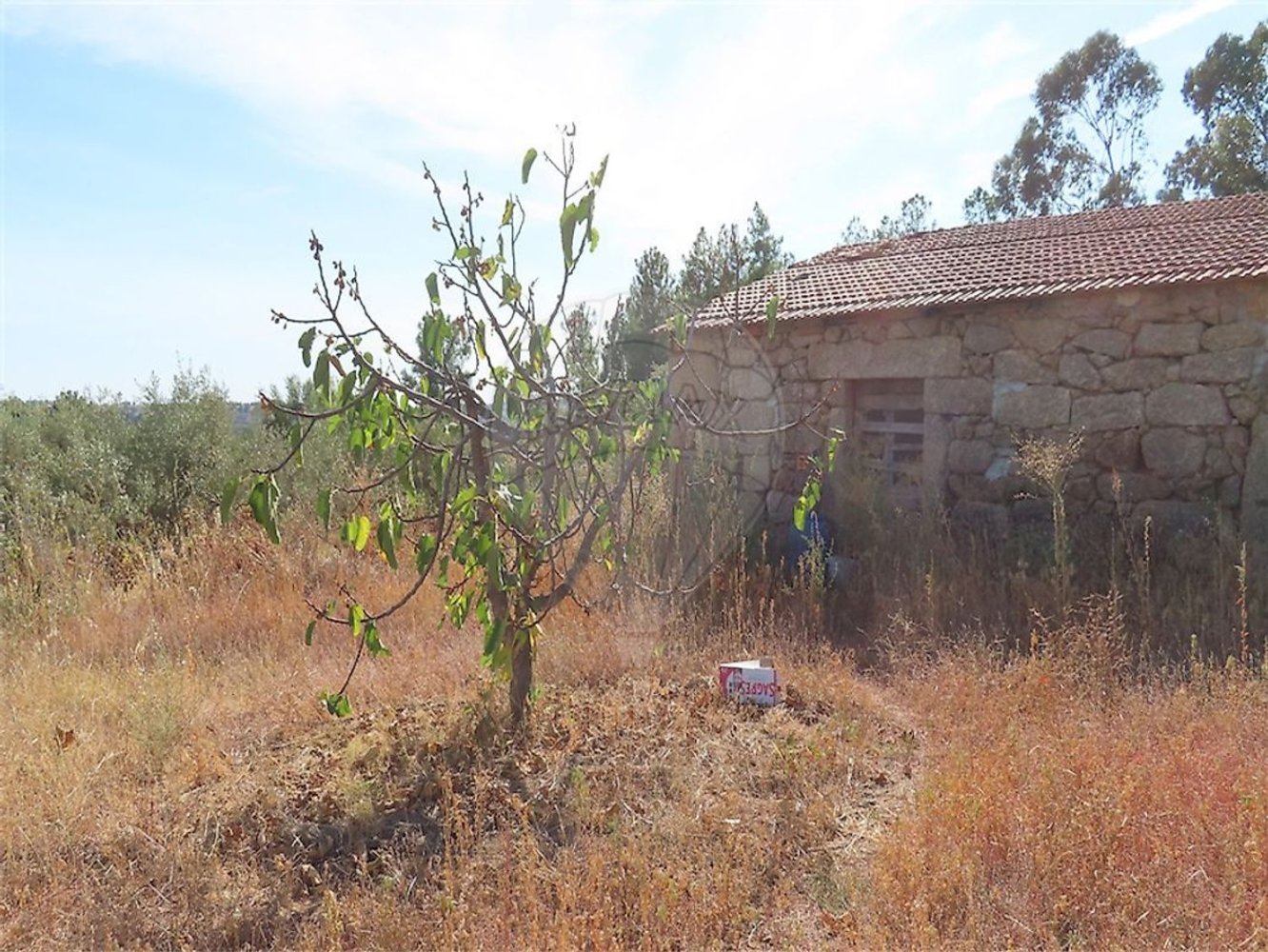 1 bedroom House in Fundao, Portugal No. 74670