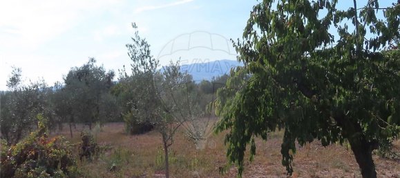 1 bedroom House in Fundao, Portugal No. 74670 9