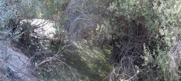 1 bedroom House in Fundao, Portugal No. 74670 5