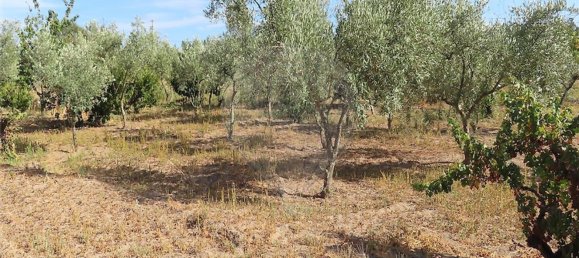 1 bedroom House in Fundao, Portugal No. 74670 13