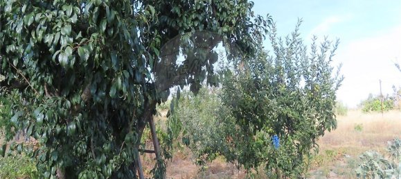 1 bedroom House in Fundao, Portugal No. 74670 8