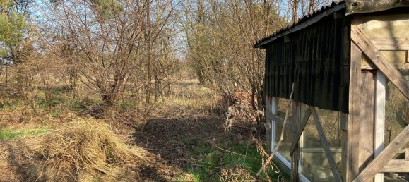 2 غرف نوم منزل في Barnim, Germany رقم 41285 12