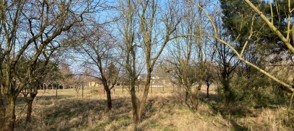 2 غرف نوم منزل في Barnim, Germany رقم 41285 11