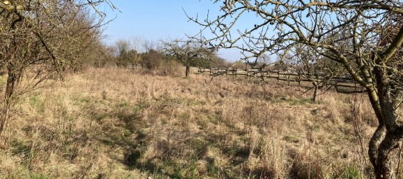 2 غرف نوم منزل في Barnim, Germany رقم 41285 13