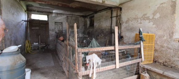 6 rooms House in Offida, Italy No. 215288 12