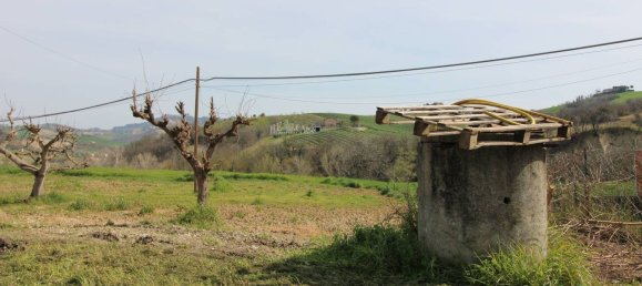 6 rooms House in Offida, Italy No. 215288 10