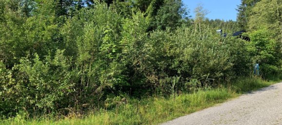 Land in Egg, Austria No. 56547 2