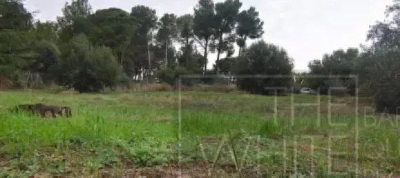  قطعة أرض في Terrassa, Spain 1200متر مربع رقم 143024 7