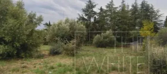  قطعة أرض في Terrassa, Spain 1200متر مربع رقم 143024 2