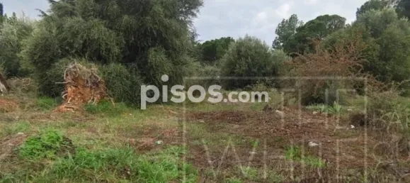  قطعة أرض في Terrassa, Spain 1200متر مربع رقم 143024 15