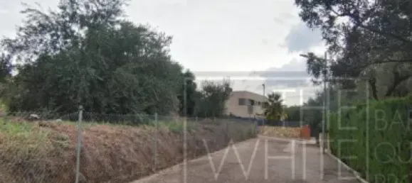  قطعة أرض في Terrassa, Spain 1200متر مربع رقم 143024 10