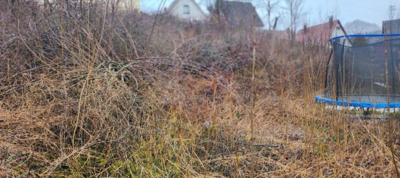  قطعة أرض في Baden-Wurttemberg, Germany رقم 5637 4