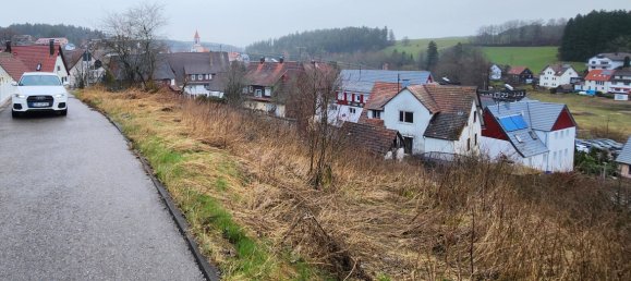  قطعة أرض في Baden-Wurttemberg, Germany رقم 5637 2