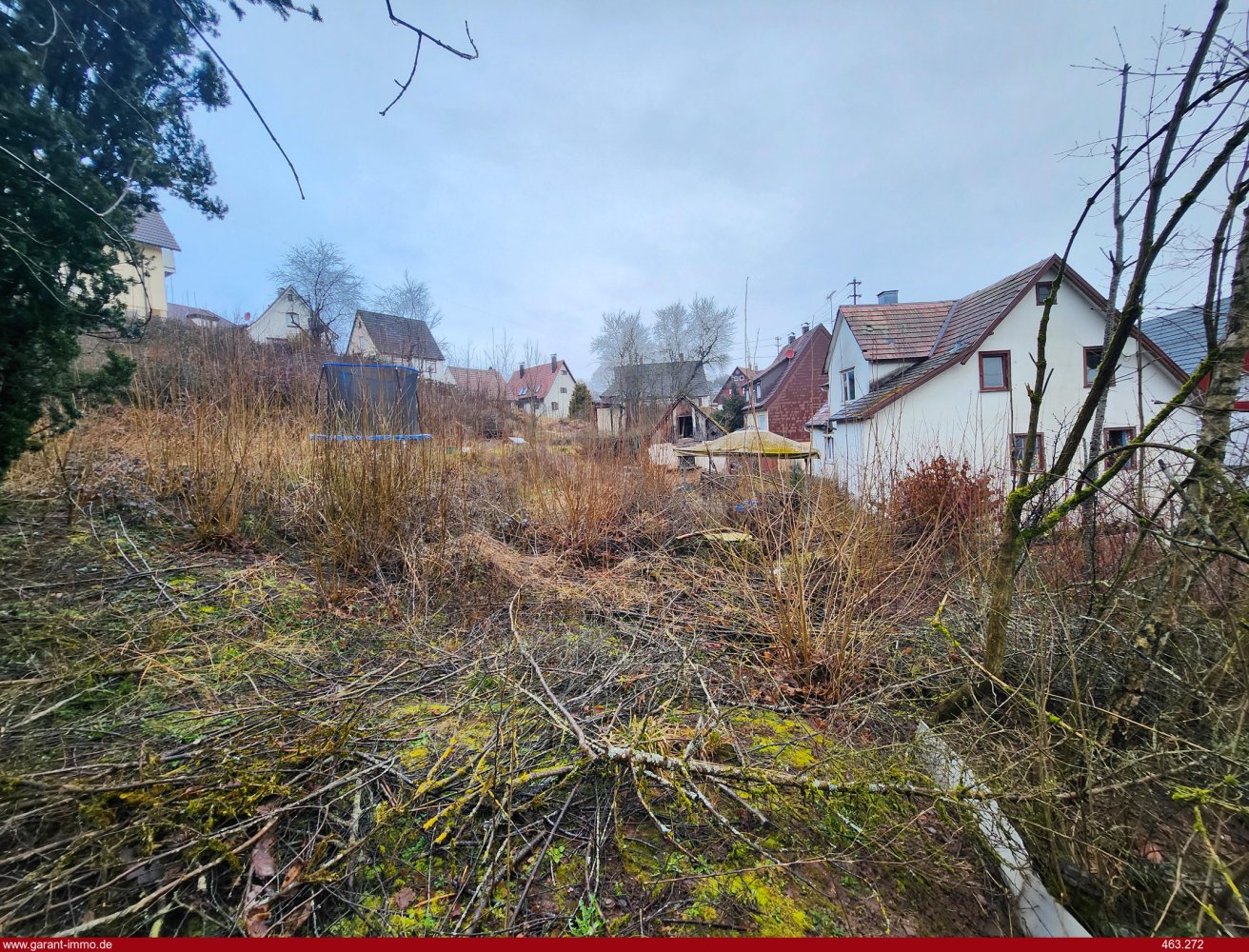  قطعة أرض في Baden-Wurttemberg, Germany رقم 5637