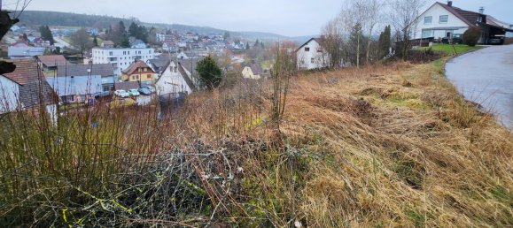  قطعة أرض في Baden-Wurttemberg, Germany رقم 5637 3