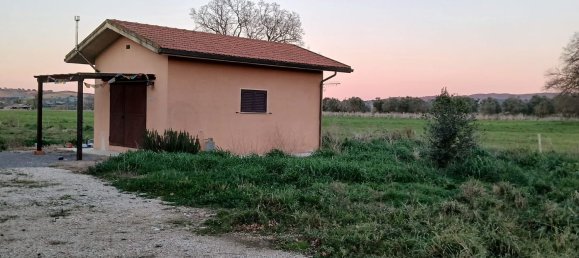 4-Zimmer Haus in Orbetello, Italy, Nr. 90928 5